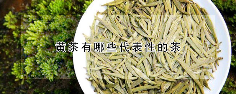 黃茶有哪些代表性的茶