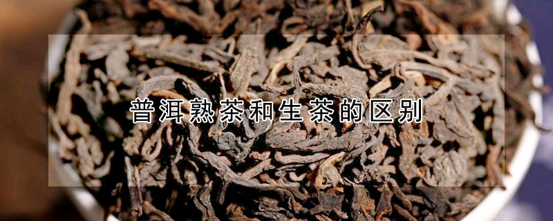 普洱熟茶和生茶的區(qū)別