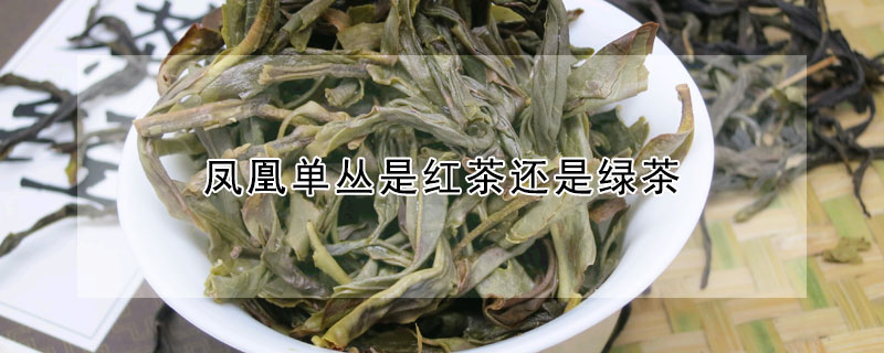 鳳凰單叢是紅茶還是綠茶