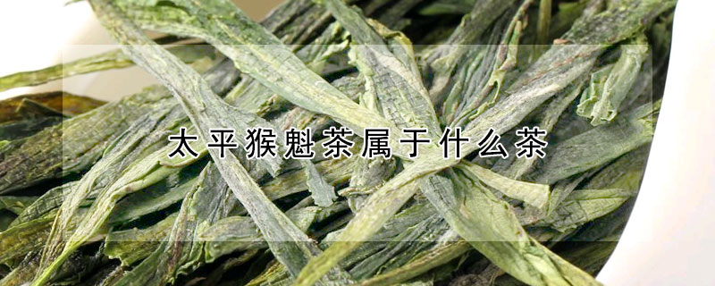 太平猴魁茶屬于什么茶