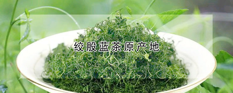 絞股藍(lán)茶原產(chǎn)地