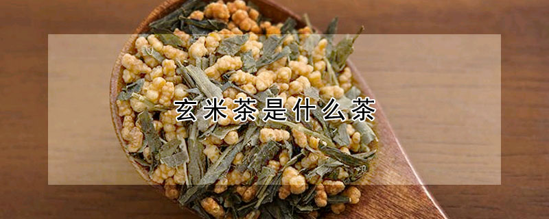 玄米茶是什么茶