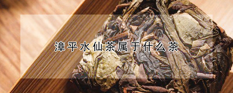 漳平水仙茶屬于什么茶