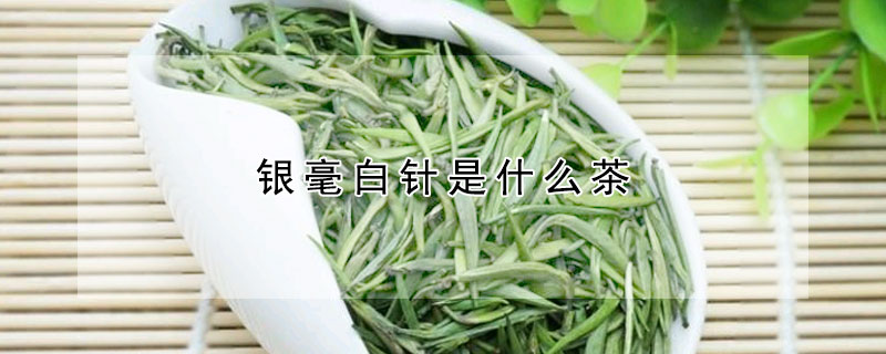 銀毫白針是什么茶