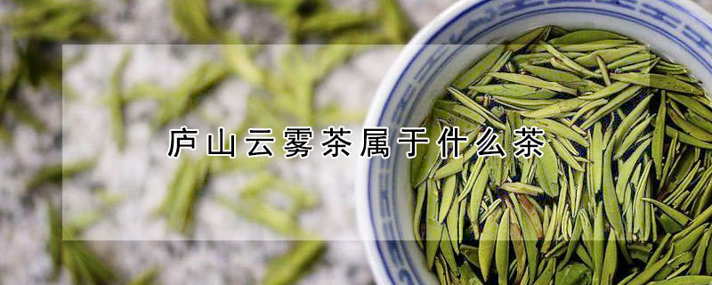 廬山云霧茶屬于什么茶