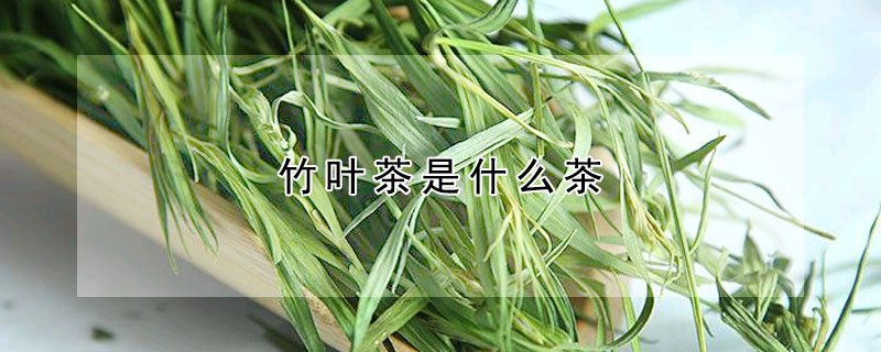 竹葉茶是什么茶