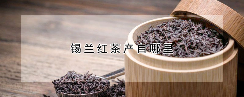 錫蘭紅茶產(chǎn)自哪里