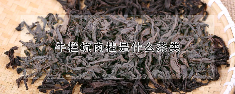 牛欄坑肉桂是什么茶類