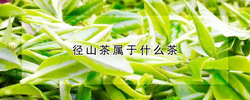 徑山茶屬于什么茶