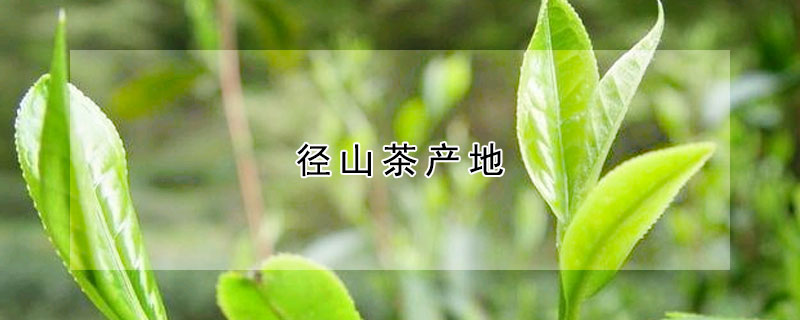 徑山茶產(chǎn)地