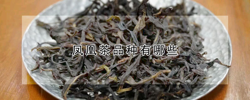 鳳凰茶品種有哪些