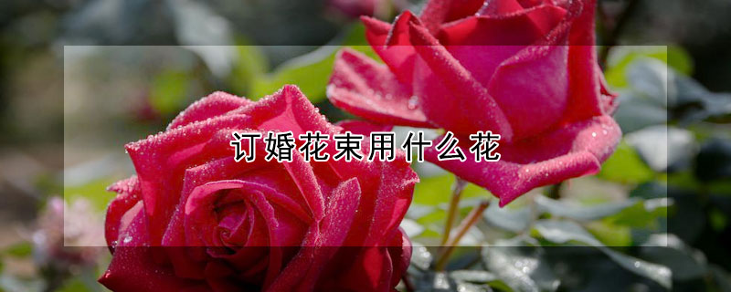 訂婚花束用什么花