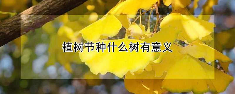 植樹(shù)節(jié)種什么樹(shù)有意義