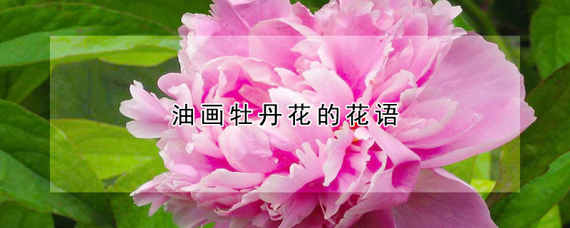 油畫(huà)牡丹花的花語(yǔ)