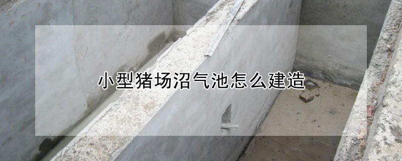 小型豬場沼氣池怎么建造