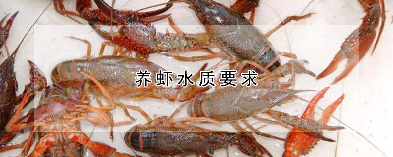 養(yǎng)蝦水質(zhì)要求