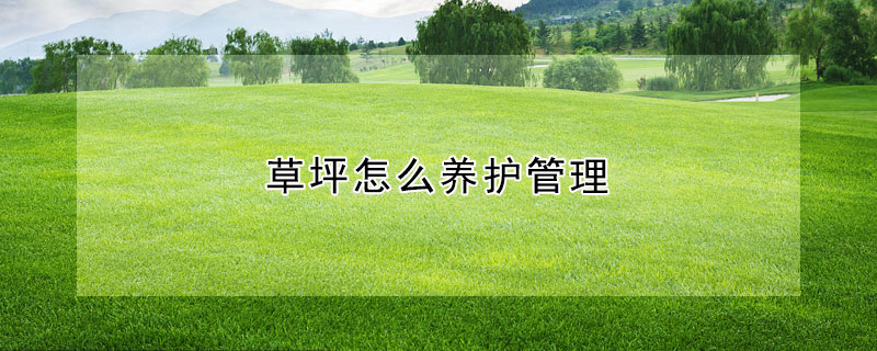 草坪怎么養(yǎng)護管理