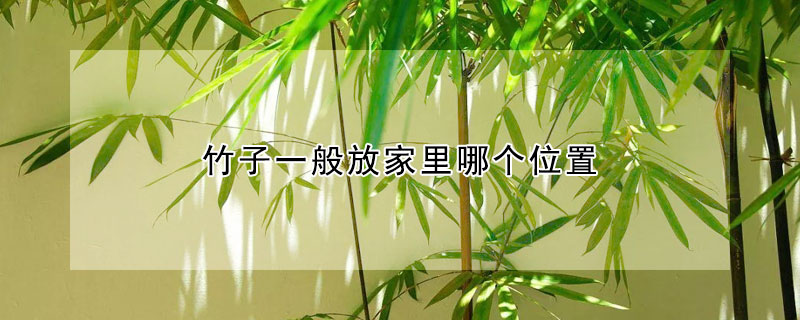 竹子一般放家里哪個位置