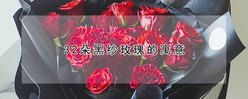 32朵黑紗玫瑰的寓意