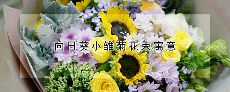 向日葵小雛菊花束寓意