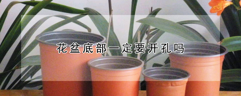 花盆底部一定要開孔嗎