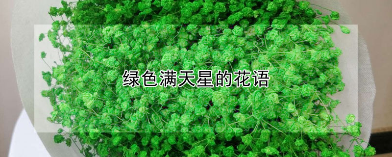 綠色滿天星的花語