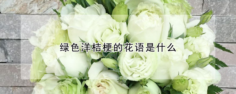 綠色洋桔梗的花語是什么