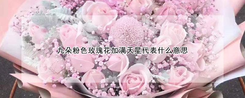 九朵粉色玫瑰花加滿天星代表什么意思