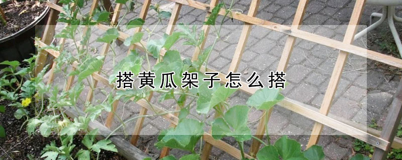 搭黃瓜架子怎么搭