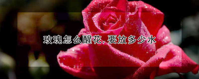 玫瑰怎么醒花,要放多少水