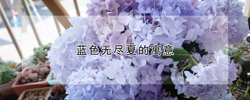 藍色無盡夏的寓意