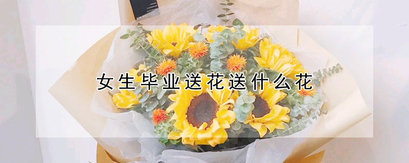 女生畢業(yè)送花送什么花