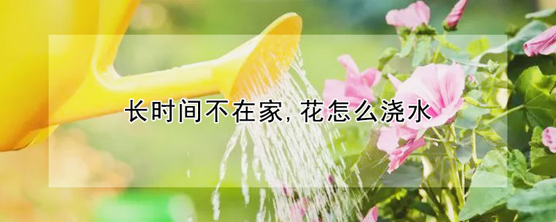 長(zhǎng)時(shí)間不在家,花怎么澆水