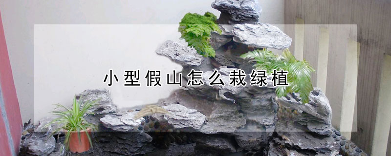 小型假山怎么栽綠植