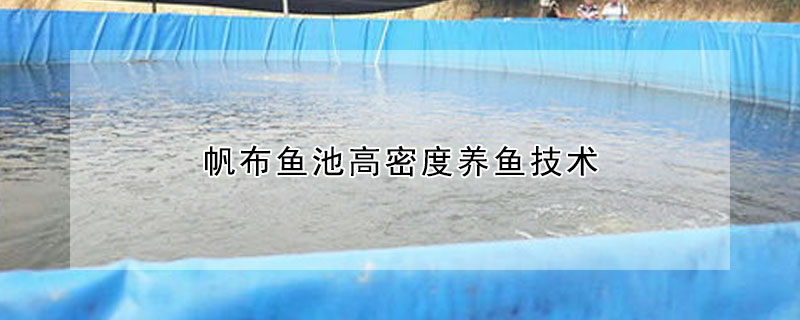 帆布魚(yú)池高密度養(yǎng)魚(yú)技術(shù)