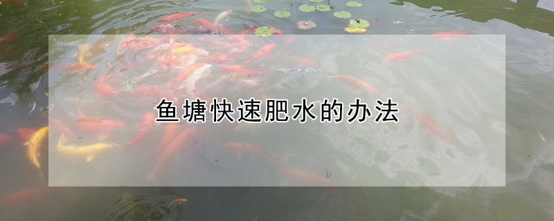 魚(yú)塘快速肥水的辦法