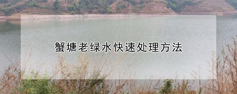 蟹塘老綠水快速處理方法