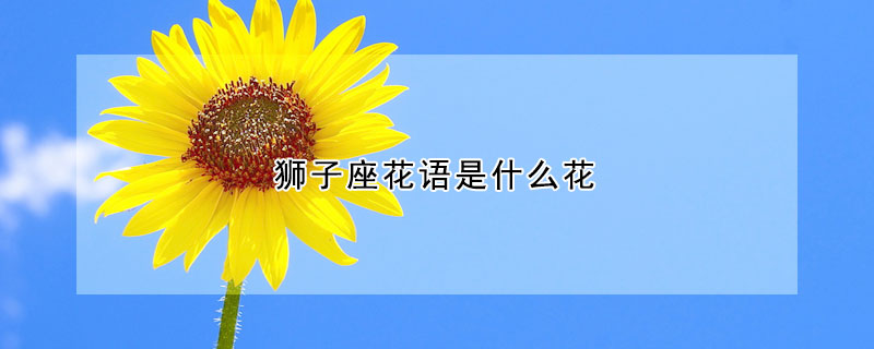 獅子座花語(yǔ)是什么花