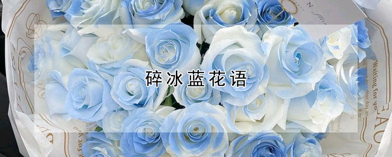 碎冰藍(lán)花語(yǔ)