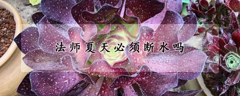 法師夏天必須斷水嗎