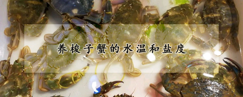 養(yǎng)梭子蟹的水溫和鹽度