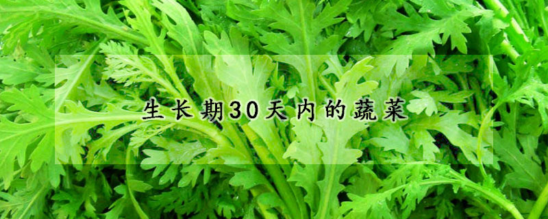 生長期30天內的蔬菜