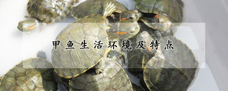 甲魚生活環境及特點