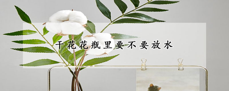 干花花瓶里要不要放水