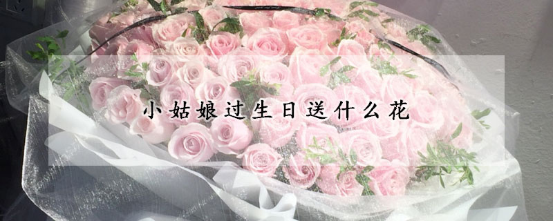 小姑娘過(guò)生日送什么花