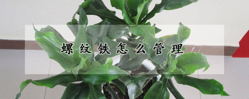 螺紋鐵怎么管理