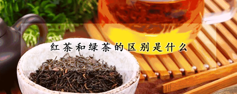 紅茶和綠茶的區別是什么