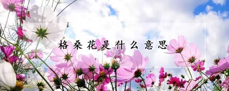 格桑花是什么意思