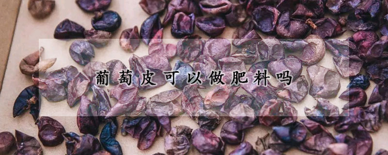 葡萄皮可以做肥料嗎