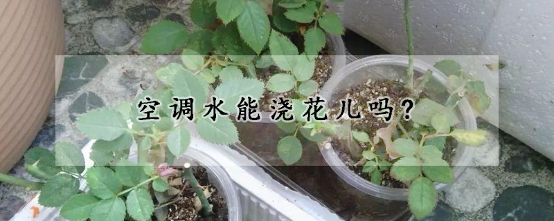 空調水能澆花兒嗎?